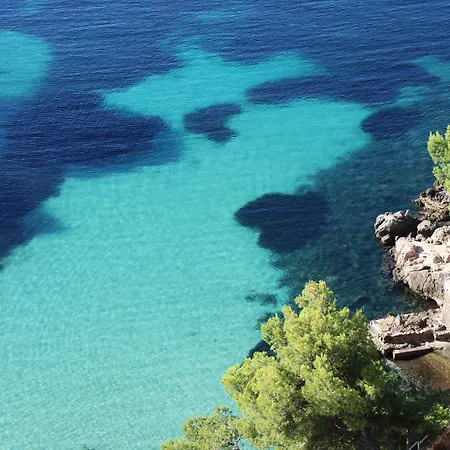 Otel The Donna Portals (adults Only) 5*